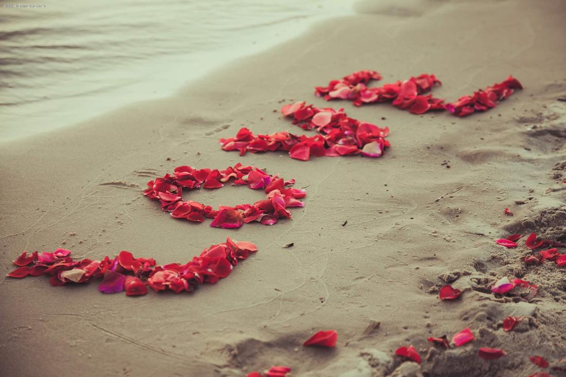 Love_Beach_Petals_Sand_439719 (1).jpg